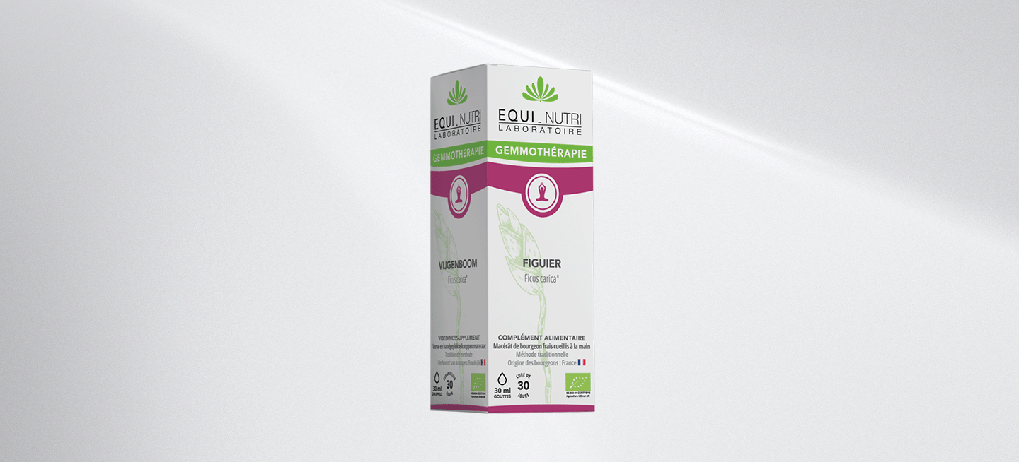 figuier-equi-nutri