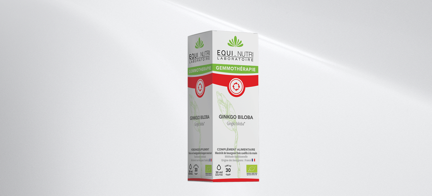 ginkgo-biloba-equi-nutri