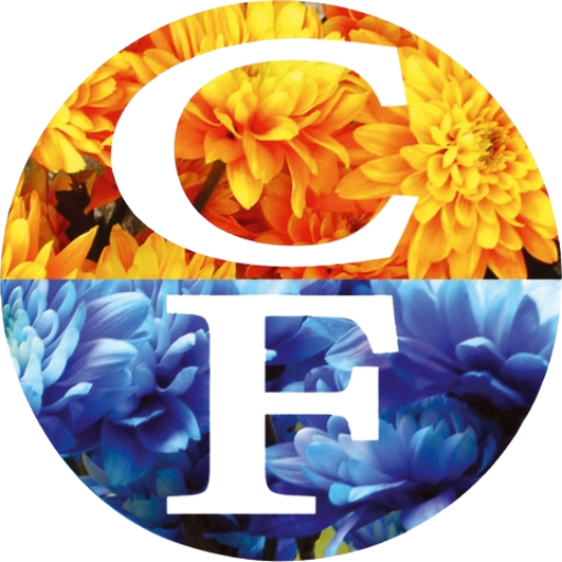 text