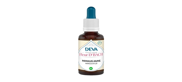 20-mimulus-jaune-deva