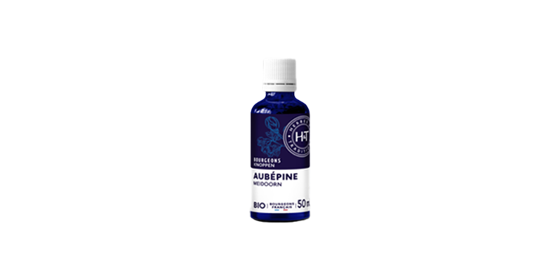 aubepine-herbes-et-traditions