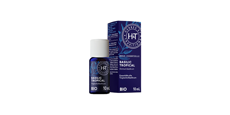 basilic-tropical-herbes-et-traditions
