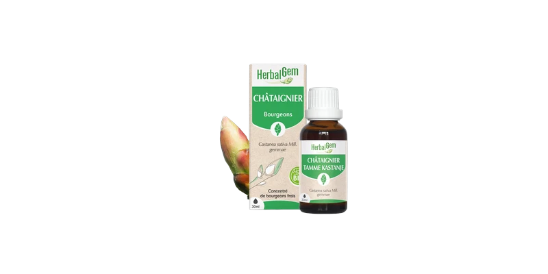 bourgeon-de-chataigner-herbalgem