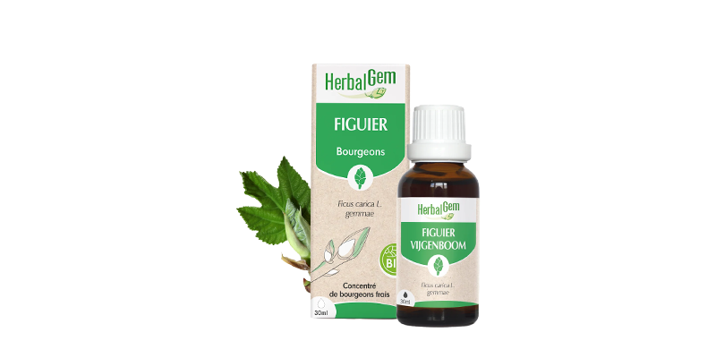 figuier-30-ml-herbalgem