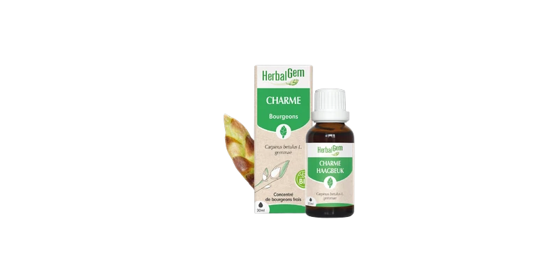 bourgeons-de-charme-herbalgem