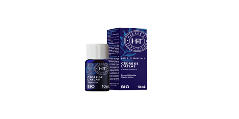 cedre-de-l-atlas-herbes-et-traditions