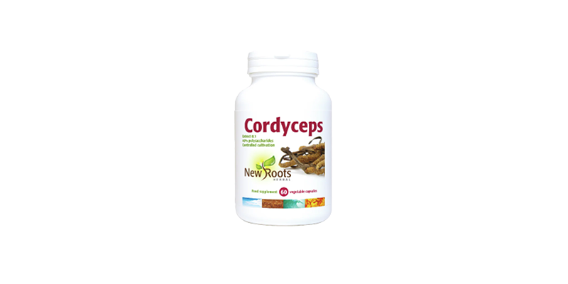 cordyceps-newroots