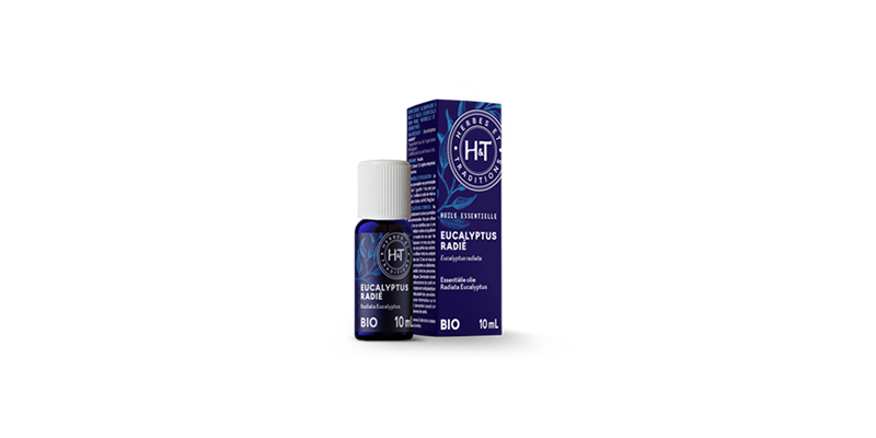 eucalyptus-radiata-herbes-et-traditions