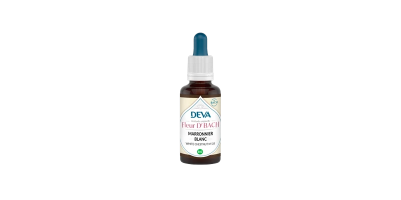 marronier-blanc-deva