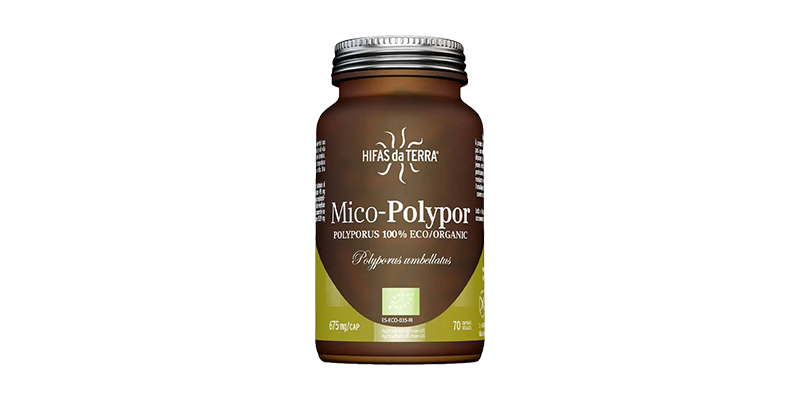 mico-polypor-hifas-da-terra