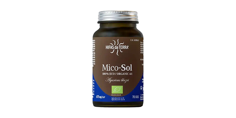 mico-sol-hifas-da-terra