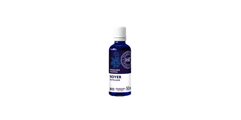 noyer-herbes-et-traditions