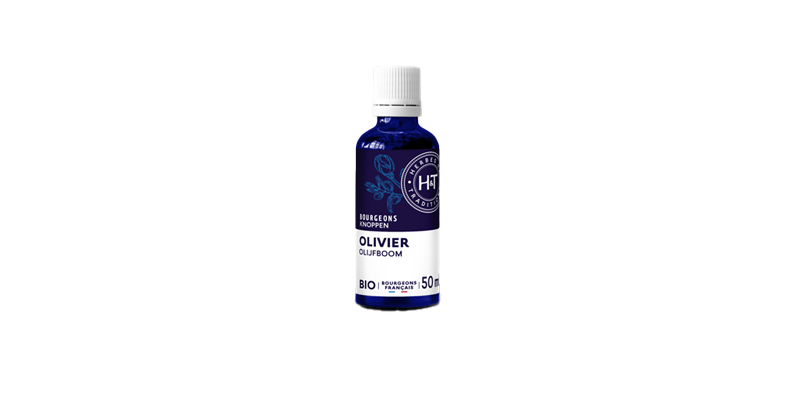 olivier-herbes-et-traditions