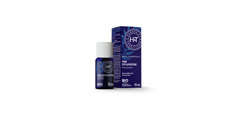 pin-sylvestre-herbes-et-traditions