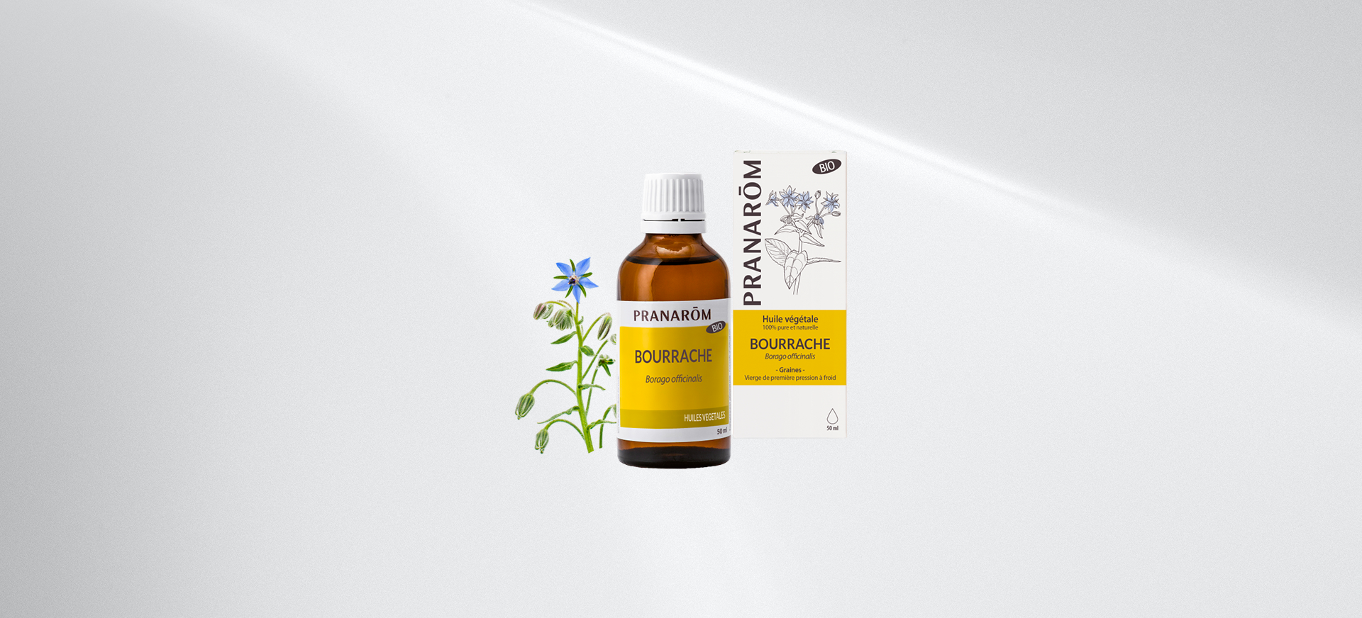 bourrache-bio-pranarom