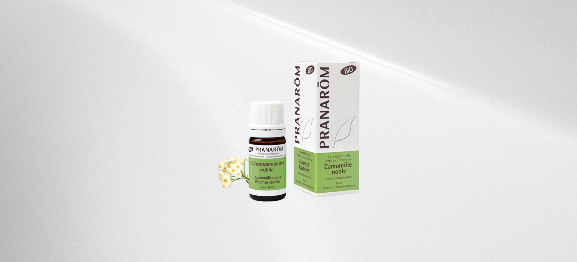 camomille-noble-fleur-bio-pranarom
