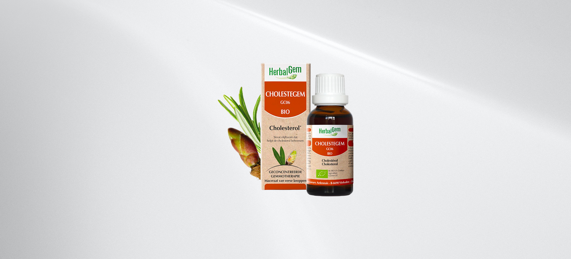 cholestegem-gc06-bio-herbalgem
