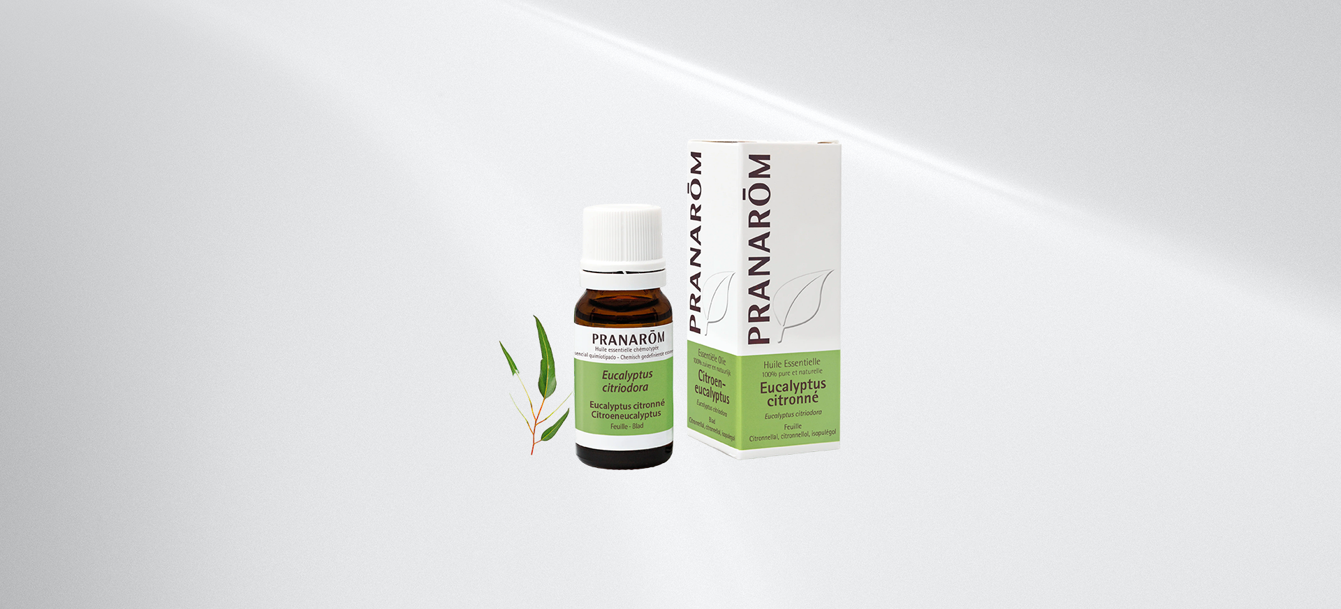 eucalyptus-citronne-feuille-bio-pranarom