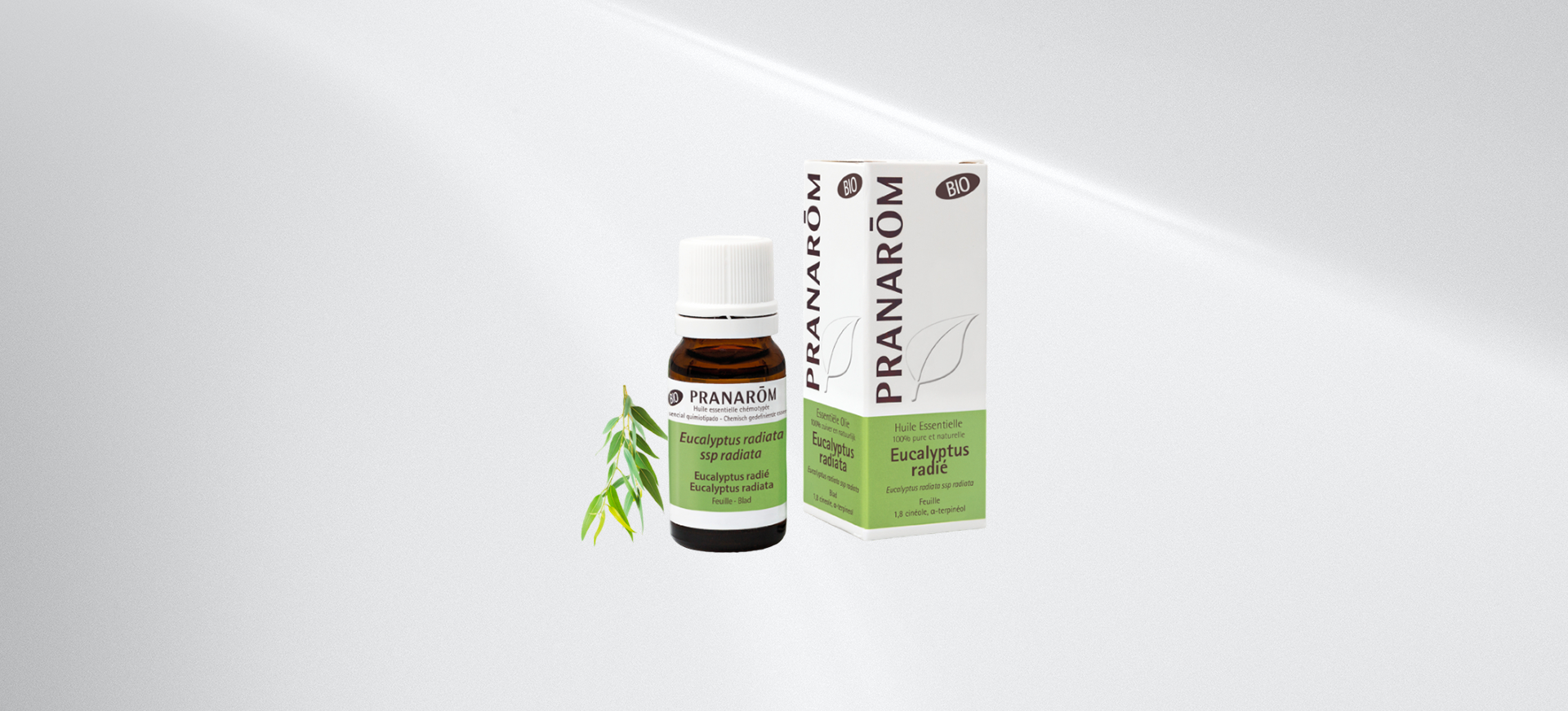eucalyptus-radie-feuille-bio-pranarom