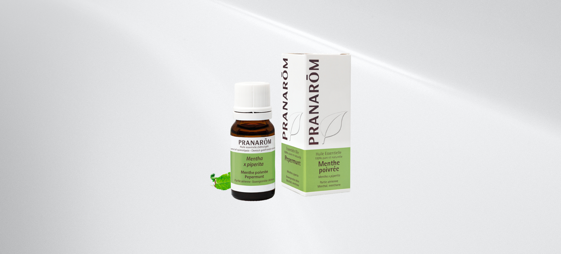 menthe-poivree-partie-aerienne-pranarom