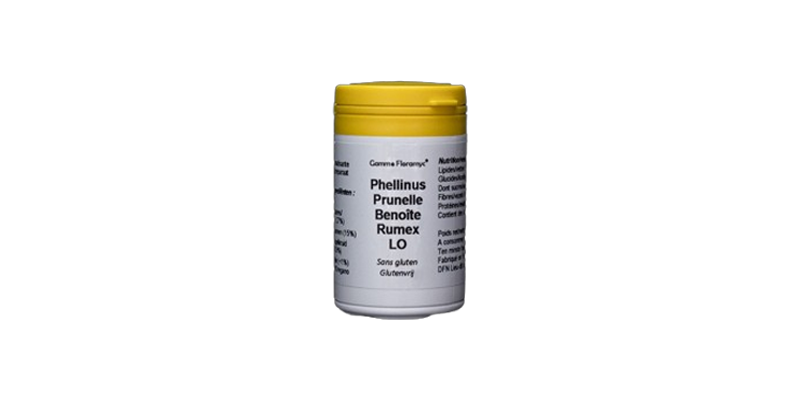 phellinus-prunelle-benoite-rumex-lo-20g-dynamic-supplements