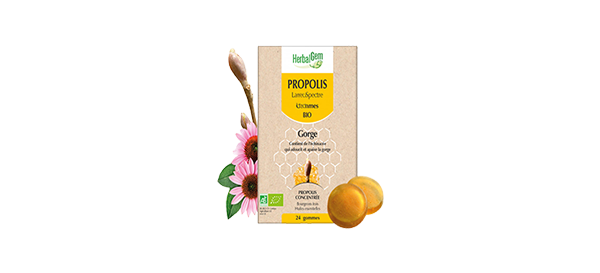 propolis-bio-24-gom-herbalgem