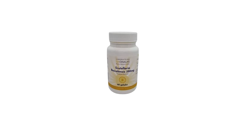 scutellaria-oronalys