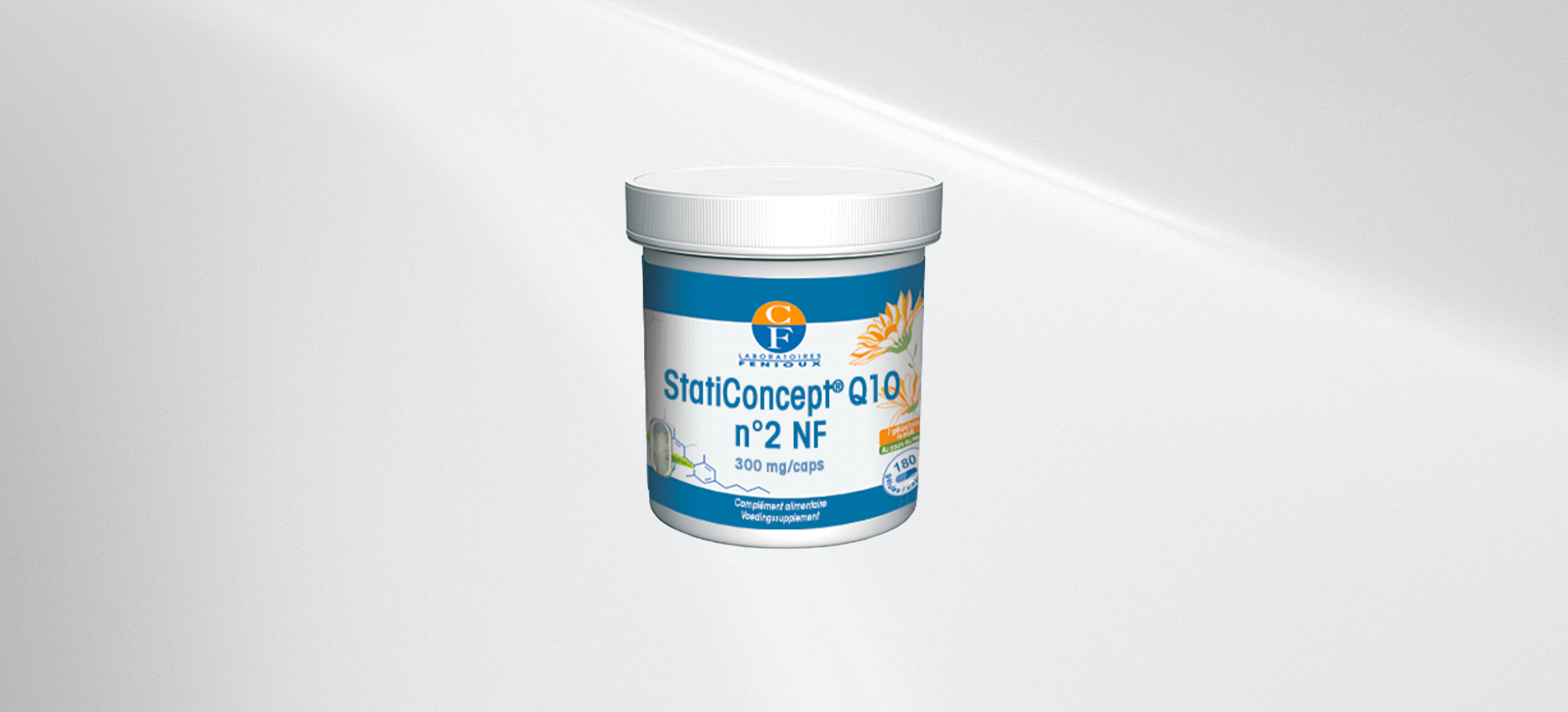 staticoncept-q10-fenioux