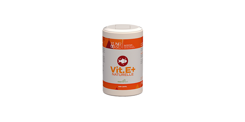 vitamine-e-120-capsules-nutrilogics