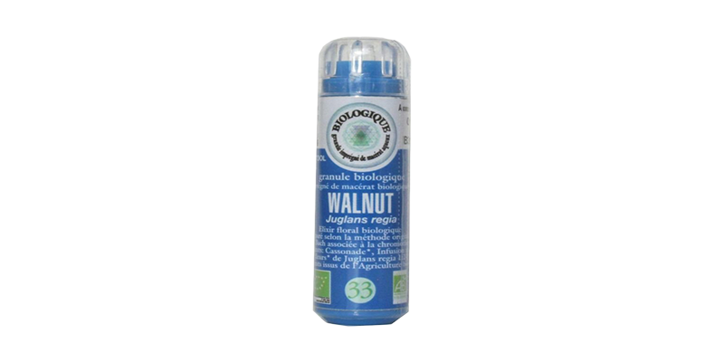 walnut-kosmeo