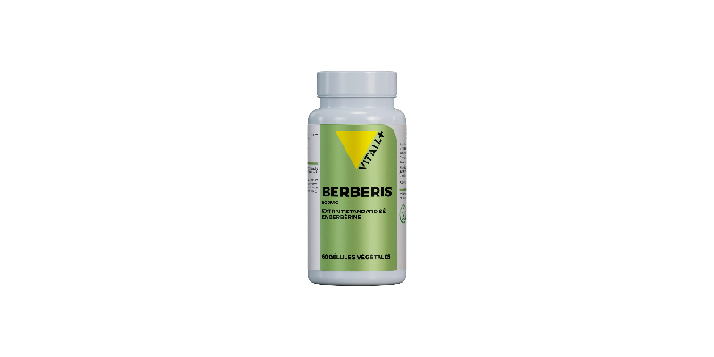 berberis-500-mg-vitallplus