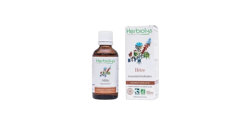 bourgeon-hetre-herbalgem