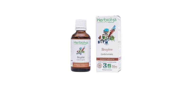 bruyere-bourgeon-bio-gemmotherapie-herbiolys
