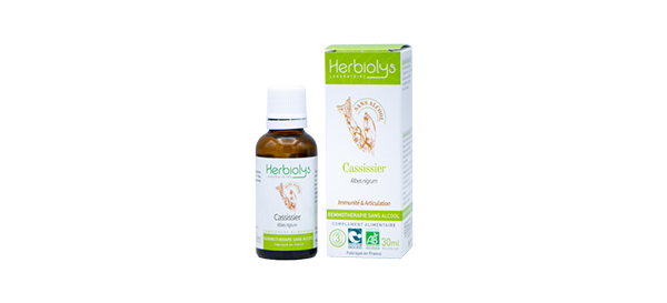 cassissier-gemmo-ss-alc-herbiolys