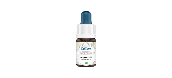 9-clematite-deva