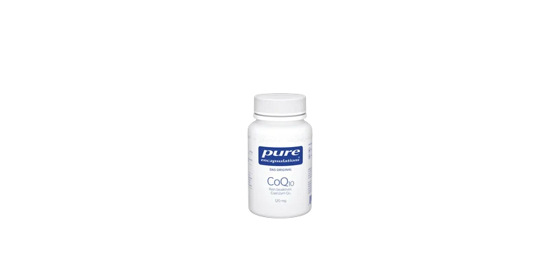coq10-pure-encapsulation