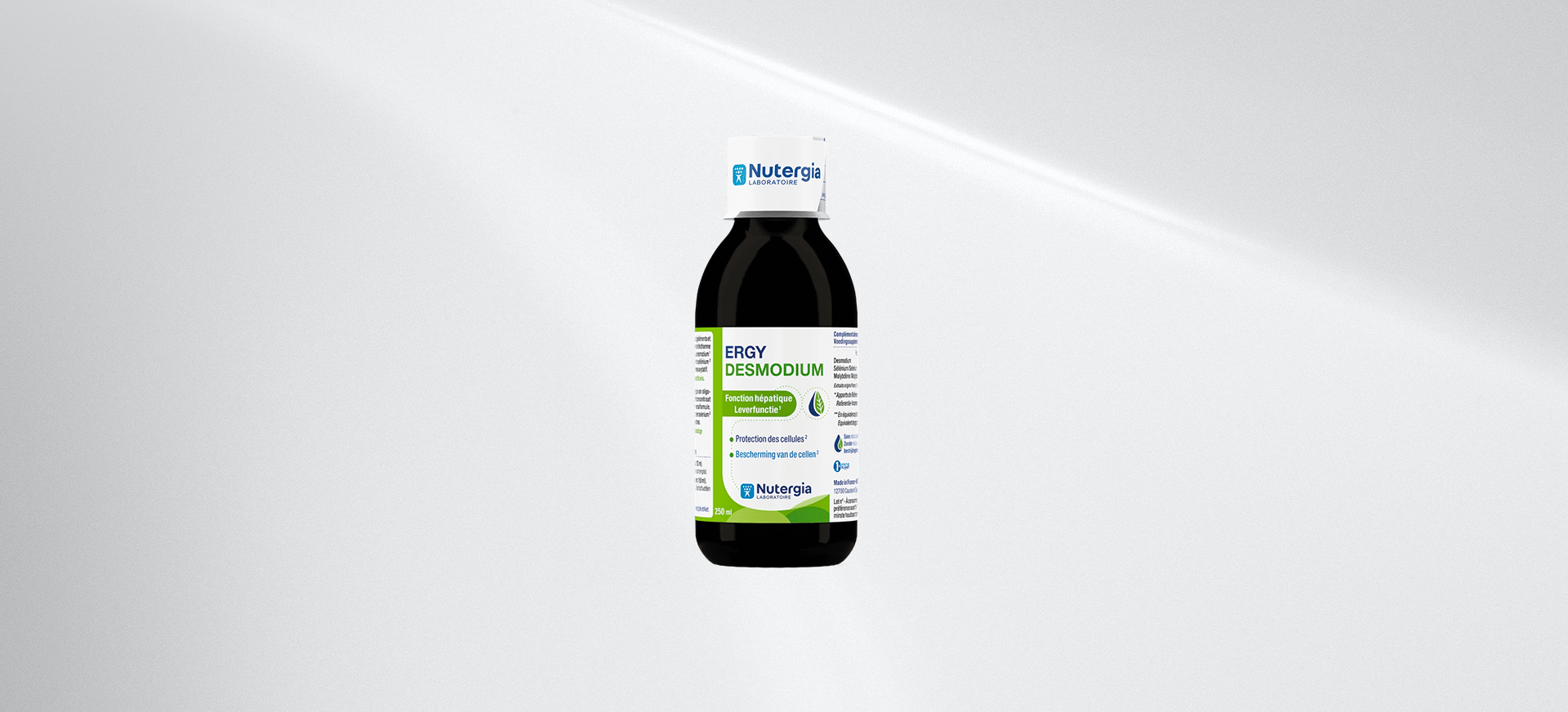 ergydesmodium-nutergia