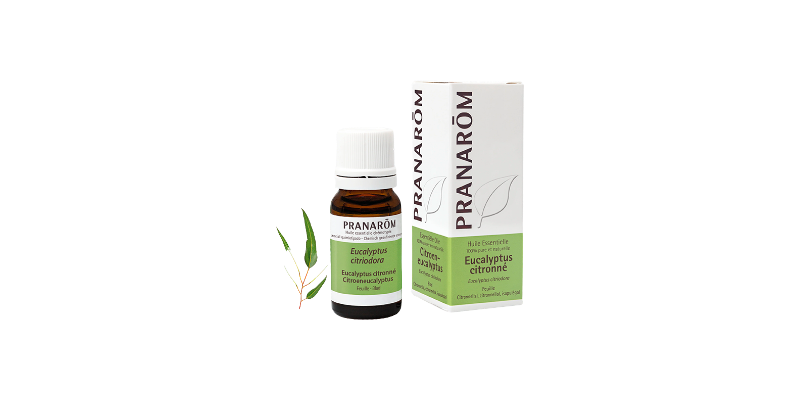 eucalyptus-citronne-feuille-bio-pranarom