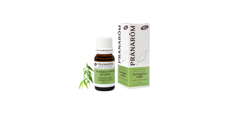 eucalyptus-radie-feuille-bio-pranarom