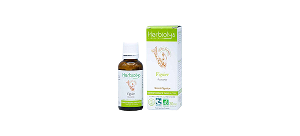 figuier-gemmo-ss-alc-herbiolys-ee931