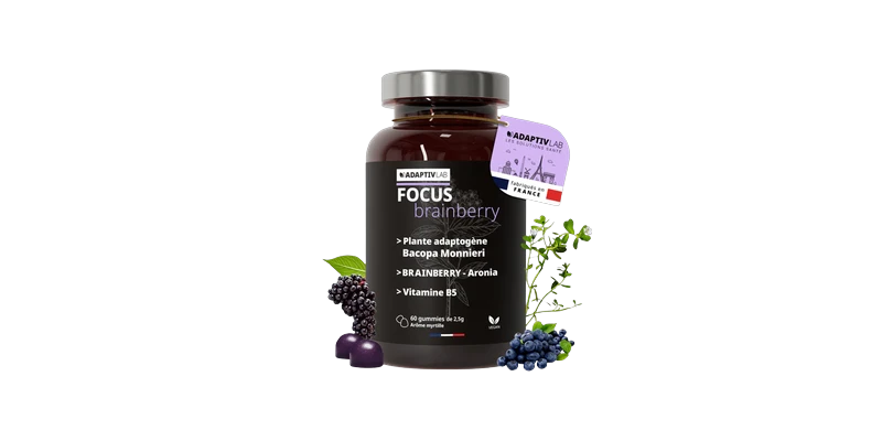 focus-brainberry-adaptivlab