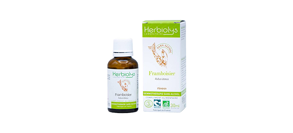 framboisier-gemmo-ss-alc-herbiolys-2c4b4