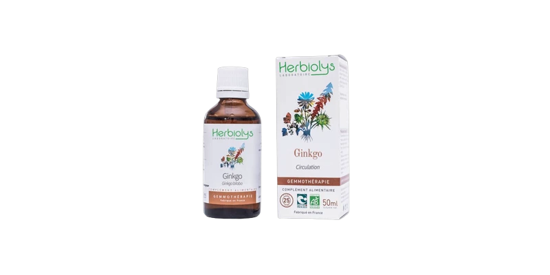 ginkgo-bourgeon-bio-gemmotherapie-herbiolys