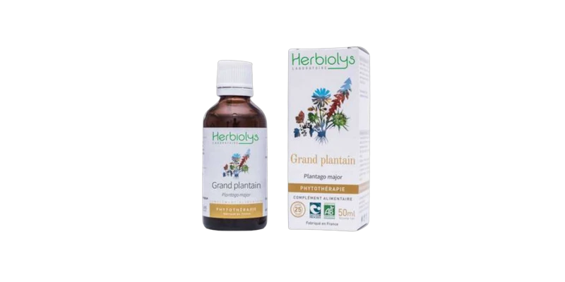 grand-plantain-herbiolys