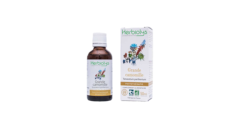 grande-camomille-herbiolys