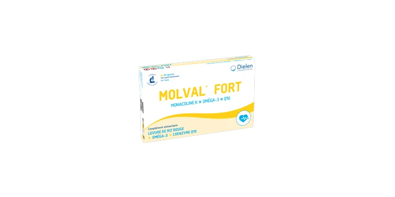 molval-fort-dielen