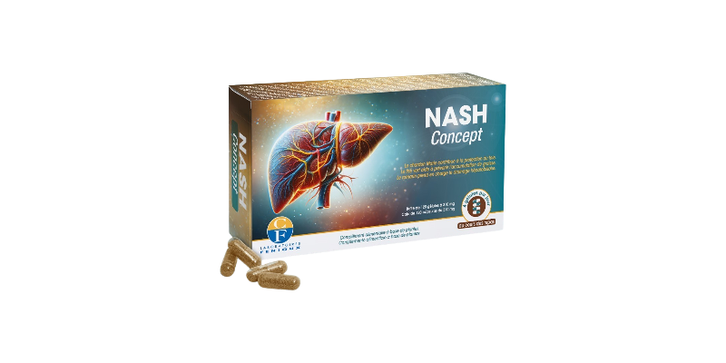 nash-concept-fenioux
