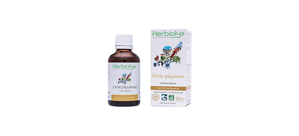 ortie-piquante-phyto-herbiolys