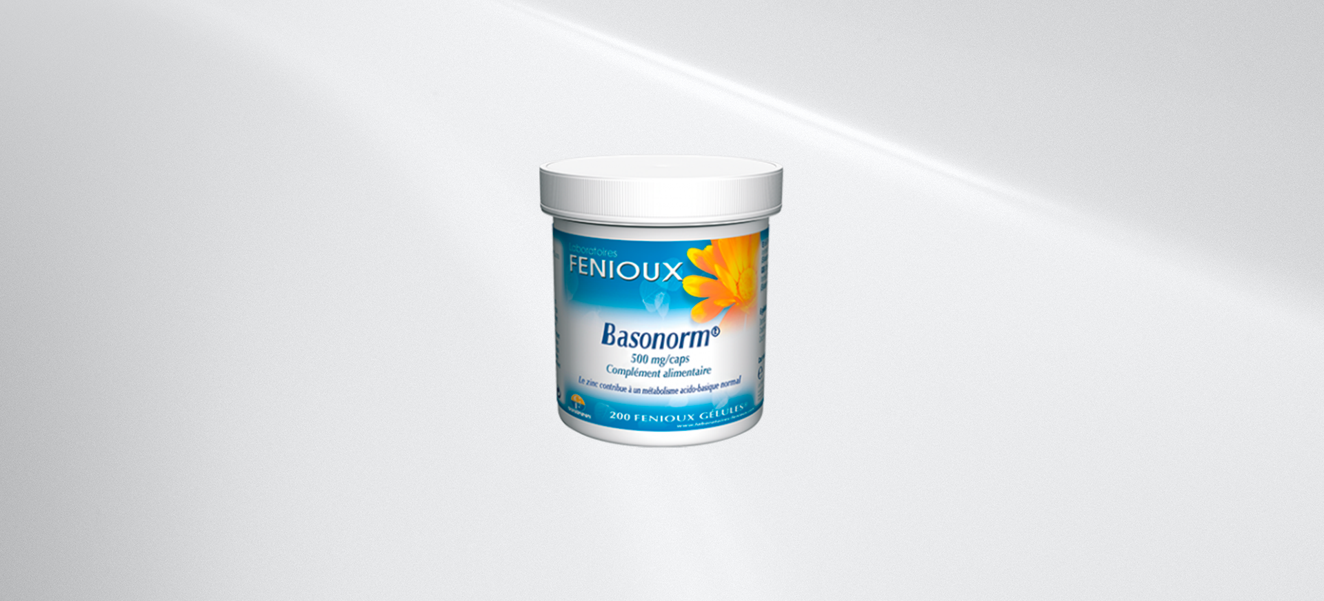 basonorm-fenioux
