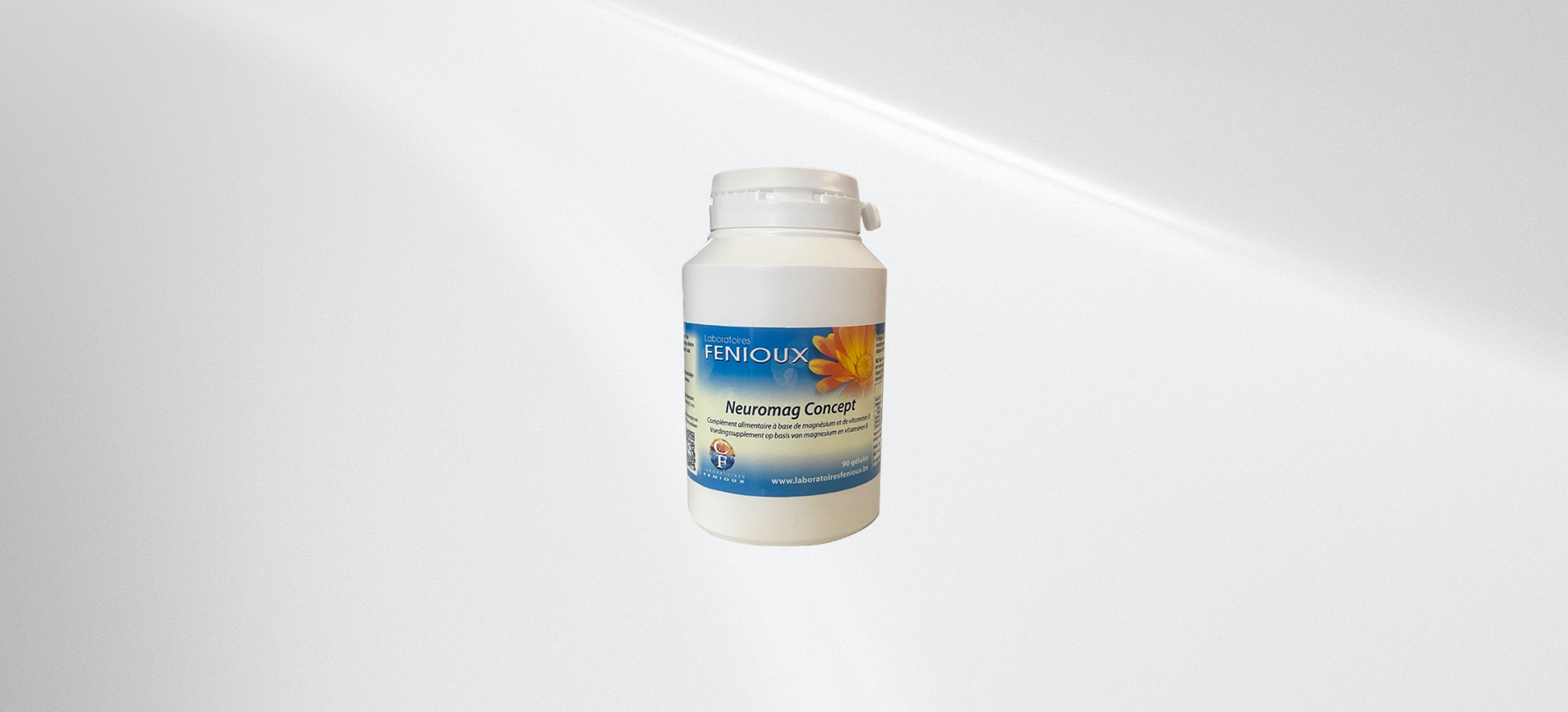 neuromag-concept-fenioux